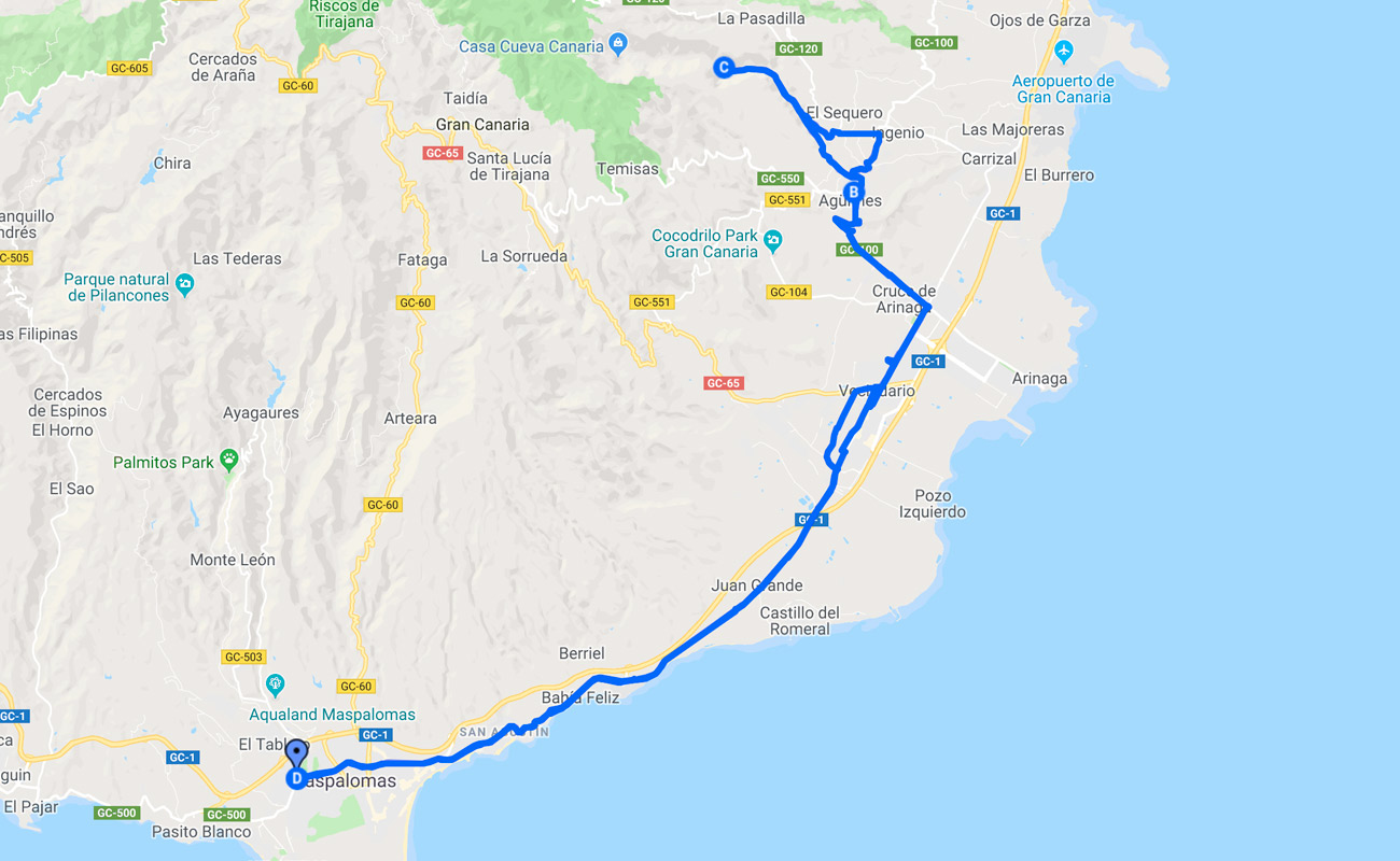 ruta8
